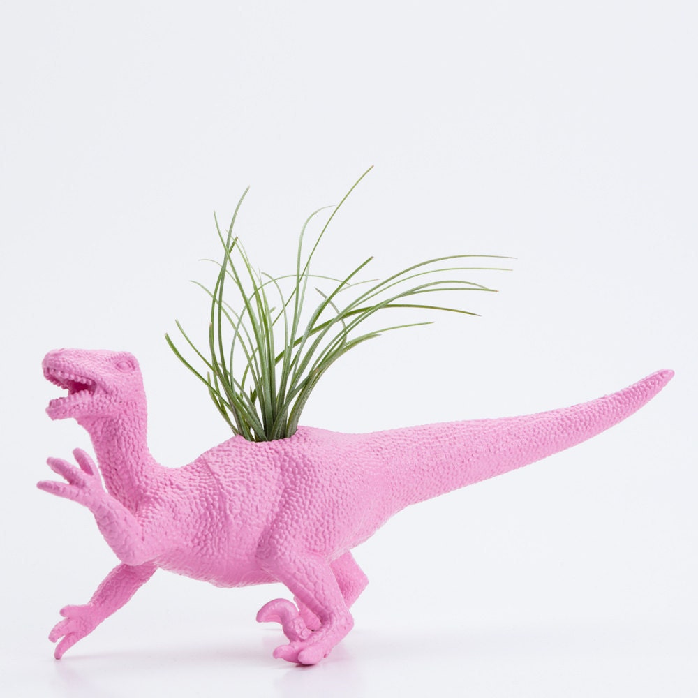 Dinosaur Planter and Air Plant Room Decor, College Dorm Ornament, Plants and Edibles, Pink