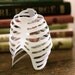 Ribcage with Heart