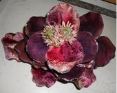 Flower Fairy wine petal hat cap headband dance costume whimsical fantasy