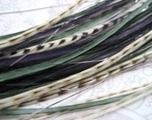 Summer Wind Collection - 3 Premium Feather Hair Extensions with 3 FREE Micro Beads, Long Length (9-13 inches)