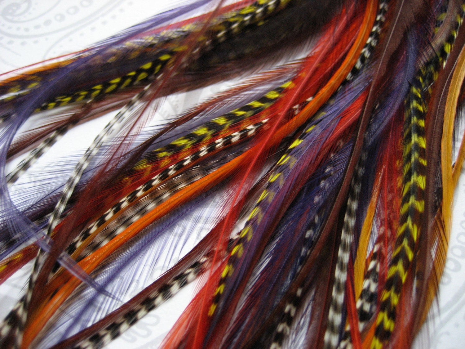 Tribal Collection - 6 Feather Hair Extensions with 3 FREE Micro Beads, Long Length (7-13 inches)