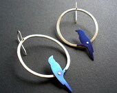 Blue Bird Oval Hoops