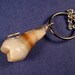 Tooth Locket - The Wisdom Tooth