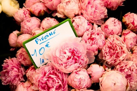 Nature Photography - French Market Fragrant Pink Peonies in Southern France - 8x10 Fine Art Photograph - Flower Decor