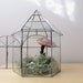 vintage greenhouse botanical garden glass terrarium