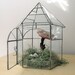 vintage greenhouse botanical garden glass terrarium