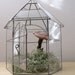 vintage greenhouse botanical garden glass terrarium