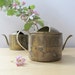 small vintage brass watering can