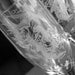 Tattoo Sparrow True Love- Engraved Wedding Glass Toasting Flutes