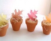 Autumn SOAP Leaf  MINIATURE Thanksgiving Party Favors, Unique Rustic Wedding Favor, Fall Wedding, Autumn Wedding Favors, Fall Party Favors