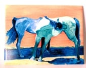 The Spanish Barbs Blue Horses Ceramic Art Tile