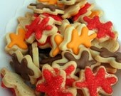 ITTY BITTY Bite Size OAK LEAF Sugar Cookies, 8 DOZEN NEW ITEM