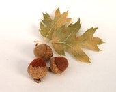 6 Fall Acorns, Felted  Wooly Acorns, masculine, Dude, for him, Dad, Christmas gift, men, office study