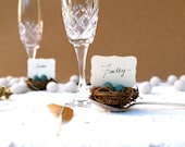 Spring Wedding Place Cards, Nest Woodland Rustic Robin Egg Blue 50 Easter Rustic Fairytale Classic Shabby Chic Country Theme Baby Shower
