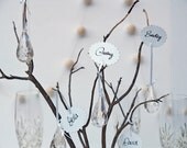 Spring Wedding Place Settings, Crystal & Cloud Card Favors 10 White Fairytale Classic Shabby Chic Country Theme Baby Shower Rain Raindrop
