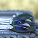 4 Bridesmaid Gifts - Hair Pieces Peacock - Peacock Wedding -Bridesmaid Hairpins in BRILLIANT - Blue, Bridal Party Accessories