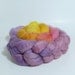 5.3oz BFL Combed Top - Tiptoe through the Tulips
