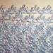 9 yards Metallic Silver Loop Braid Trim