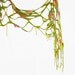 Wool nuno felted scarf Spring green spring fish net