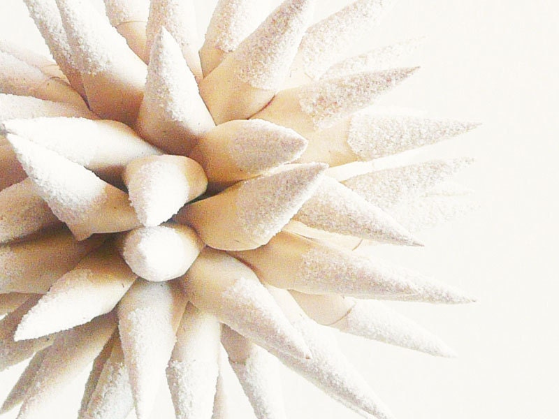 Beach Wedding Decoration, Wedding Gift, Paper Star Urchin, Nautical Home Decor, Ivory, Sand Ornament - White Sandy Beach Sparkler, 4 inch