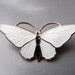 Vintage White Enamel Butterfly Brooch