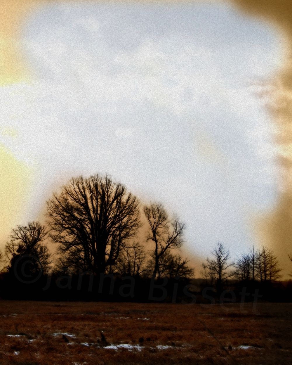 Landscape Photograph, Sepia Day, Fine Art Photographic Print On Metallic Paper