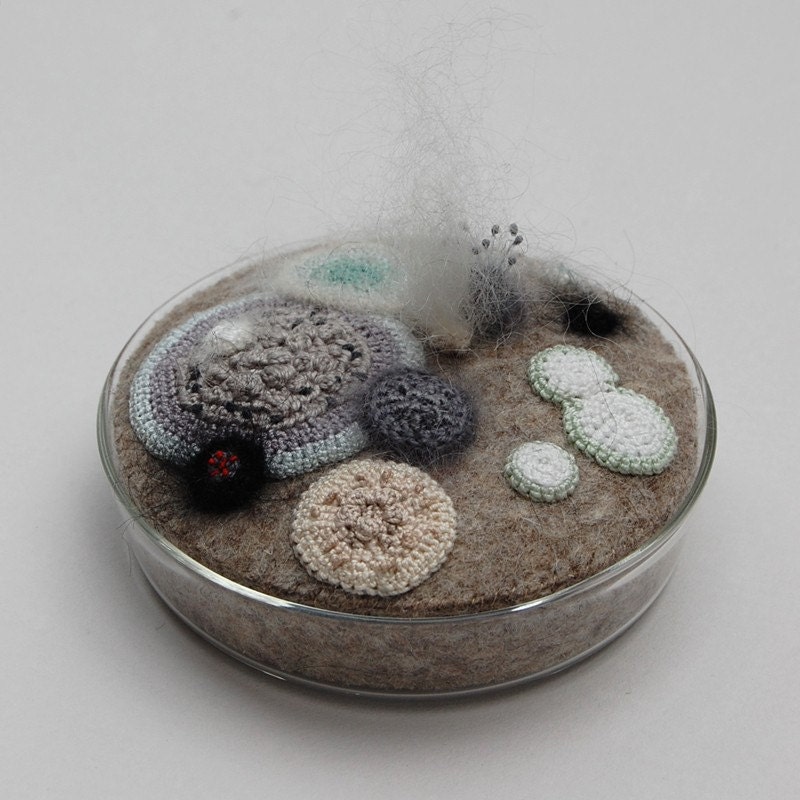 Moldy petri dish No. 10 - mostly monochrome