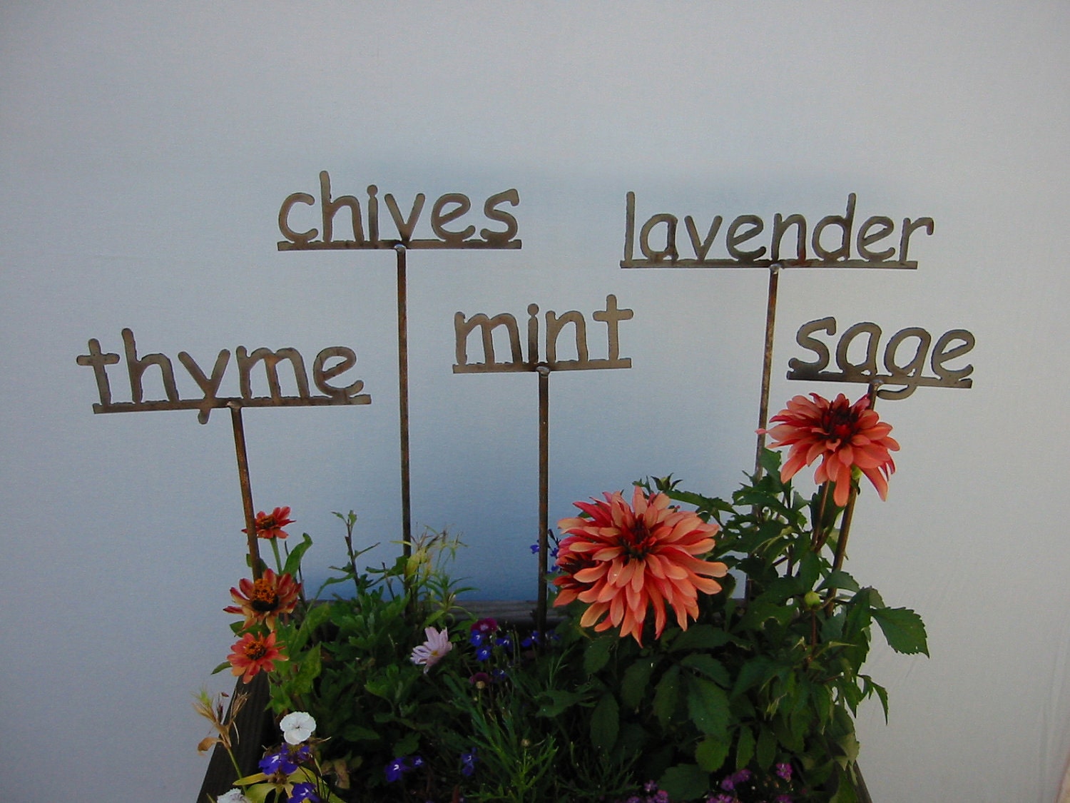 Set of 3  - Metal Garden Sign/Markers for your  HERBS - 13 to choose from...19 Inches Tall