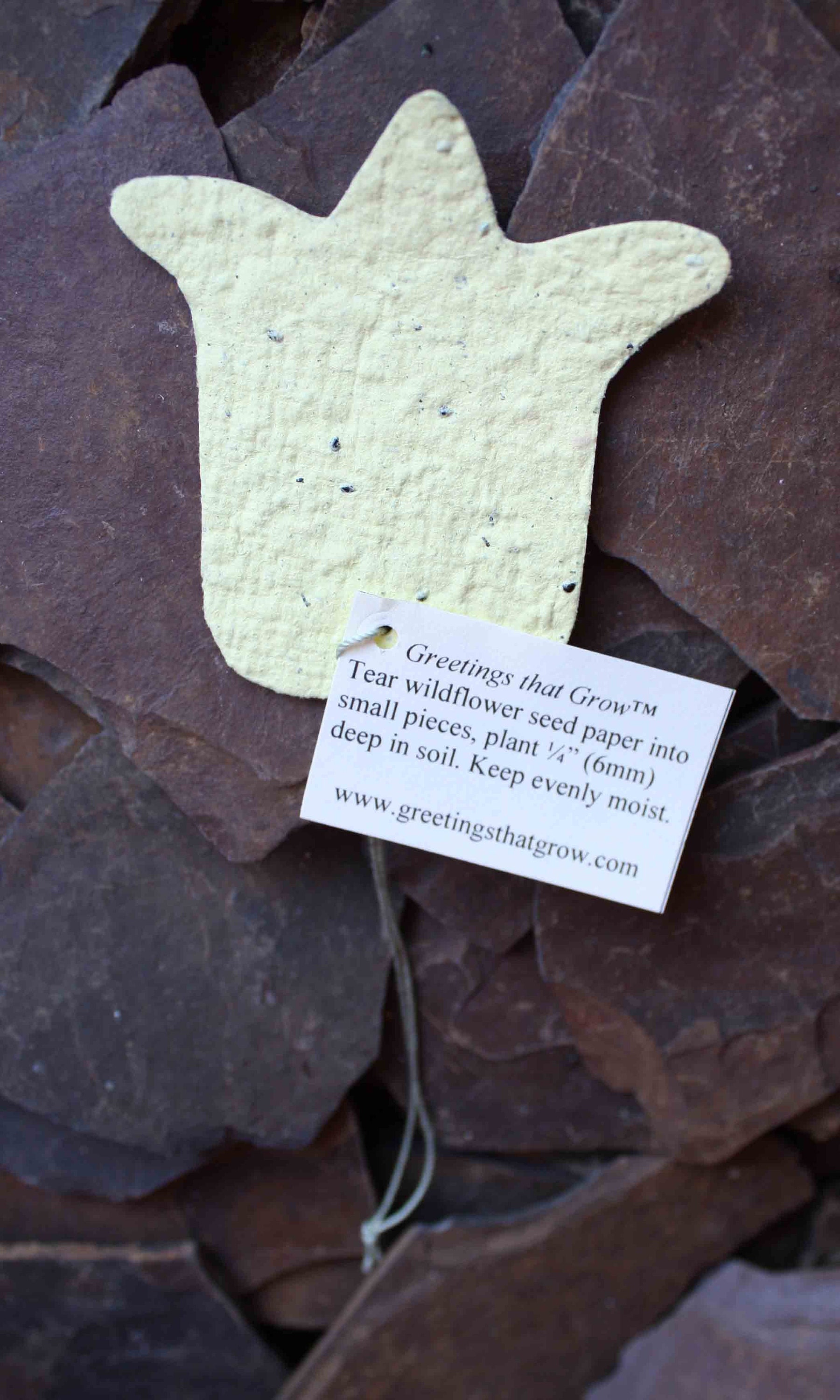 10 Plantable Tulip Favor Tags w/ Forget Me Not Seed Paper 100 percent donation to Red Cross for Haiti