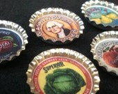 Summer Vegetable Garden Crate Labels Bottle Cap Magnets Set of 5