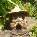 Toadstool toad house / Fairy home for your garden