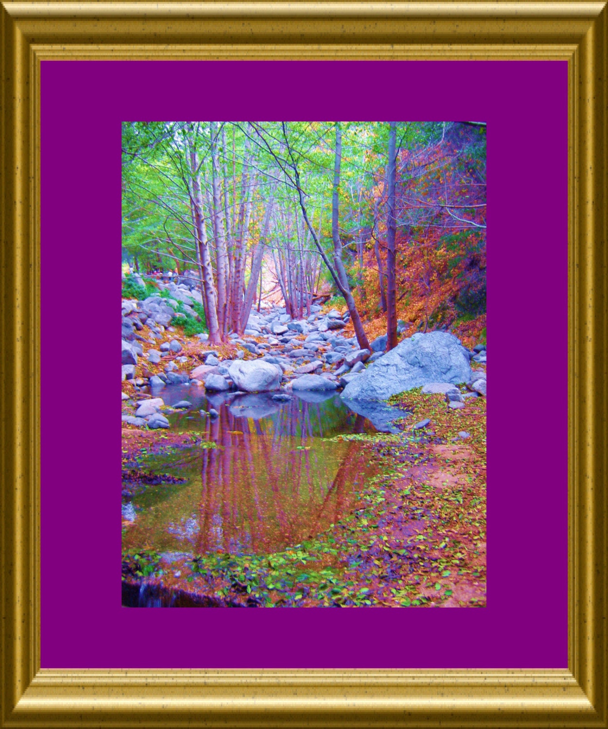 Forest of Dreams Photo Art Print