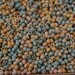 Small Round Turquoise Blue Beige Canary Yellow Wood Beads - 3mm - 350