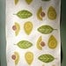 Avocado linen tea towel