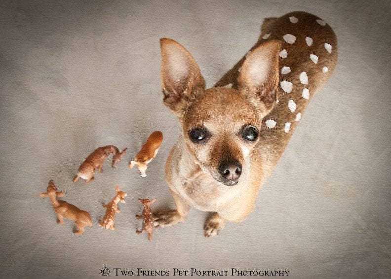 Bambi and Friends Part 3