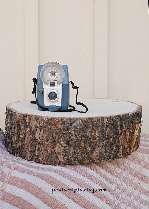 18" STUMP Rustic Wood Tree Trunk Slice Wedding Cake Base or Photography Prop