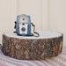 12" STUMP Rustic Wood Tree Slice Wedding Cake Base, Wooden Stand