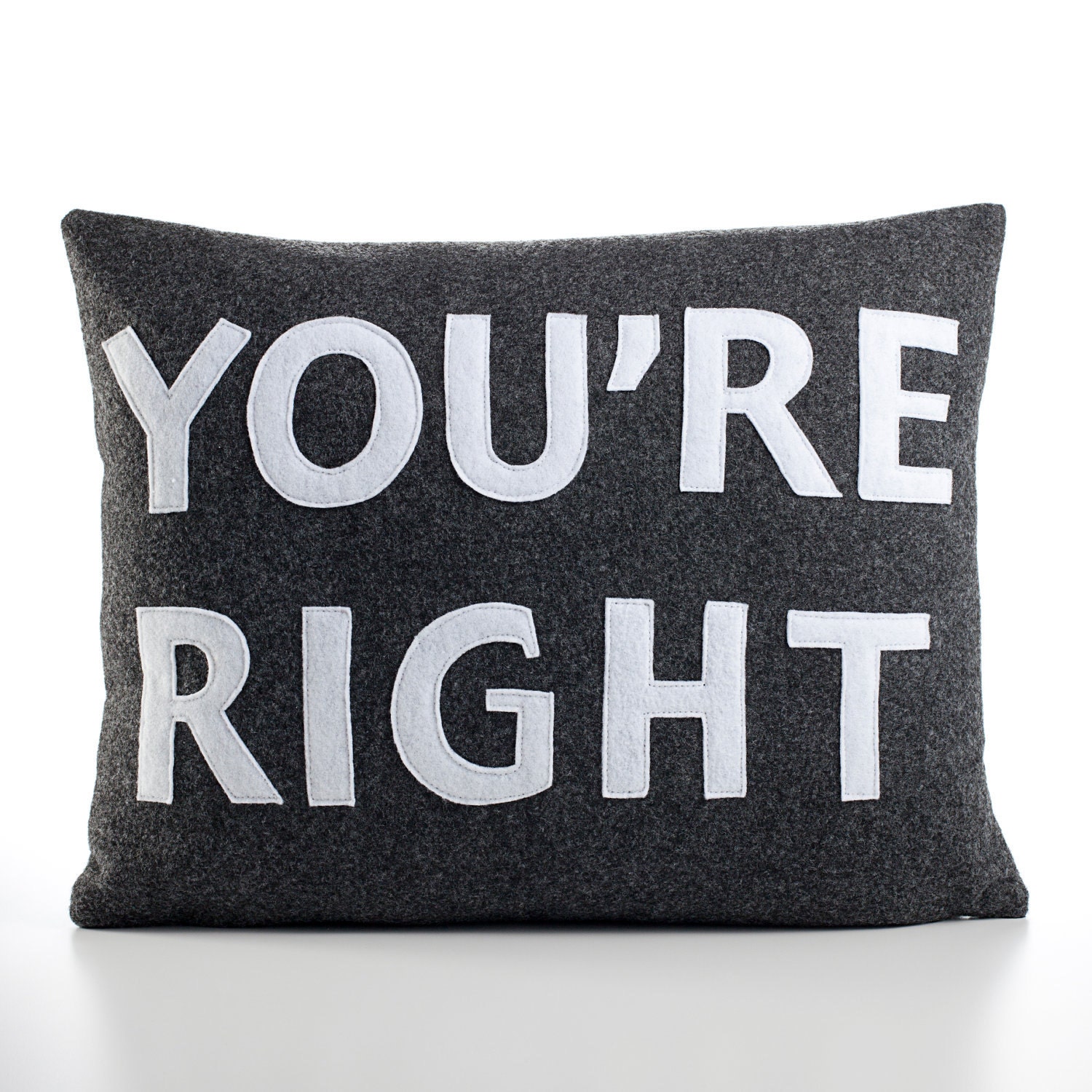 YOURE RIGHT-  recycled felt applique pillow 14"x18" - more colors available