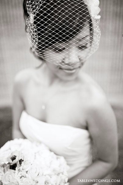 Wedding Bridal Birdcage Veil (Free U.S. Shipping) - blusher veil, french veil, russian veil, ivory, white, black, red