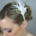 Wedding Accessory Bridal Hair, Feather Spray Headpiece - feather, fascinator, crystals, rhinestones
