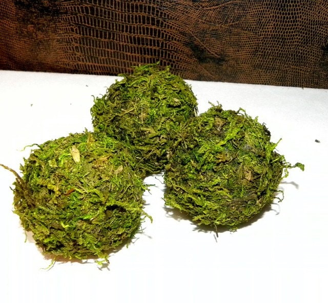 12 - 2 inch Moss Balls- Beautiful Hand made 2" balls of Moss-Wedding favors-Fairy party-Pomander