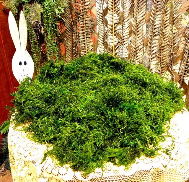 Assorted Preserved Moss in BULK  24 oz , Wedding Decor,Basket filler,woodland moss-variegated greens and larger pieces