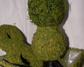 Moss ball Preserved 6" Woodland -Garden Party decor-Wedding favors-Fairy party-Topiary balls-Kissing Balls