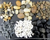 Assorted Styles of Rocks for your terrariums  or Vivariums-Bird Hose Decor-Zen Garden 1 pound