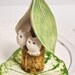 Custom Wedding cake topper Owl wedding cake topper Owl House Woodland wedding faux bois