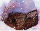 Contented Bunny