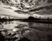 Edison Slough -13"x19" Giclée Fine Art Monochromatic  Photograph with 1/2" border printed on Moab Entrada RAG 300 gsm NW