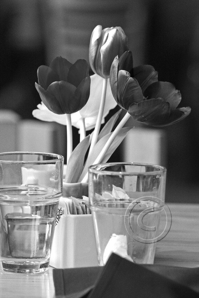 Tulips in Black and White - 8 x 12 Fine Art Black and White Photograph