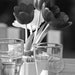 Tulips in Black and White - 8 x 12 Fine Art Black and White Photograph
