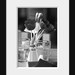 Tulips in Black and White - 8 x 12 Fine Art Black and White Photograph
